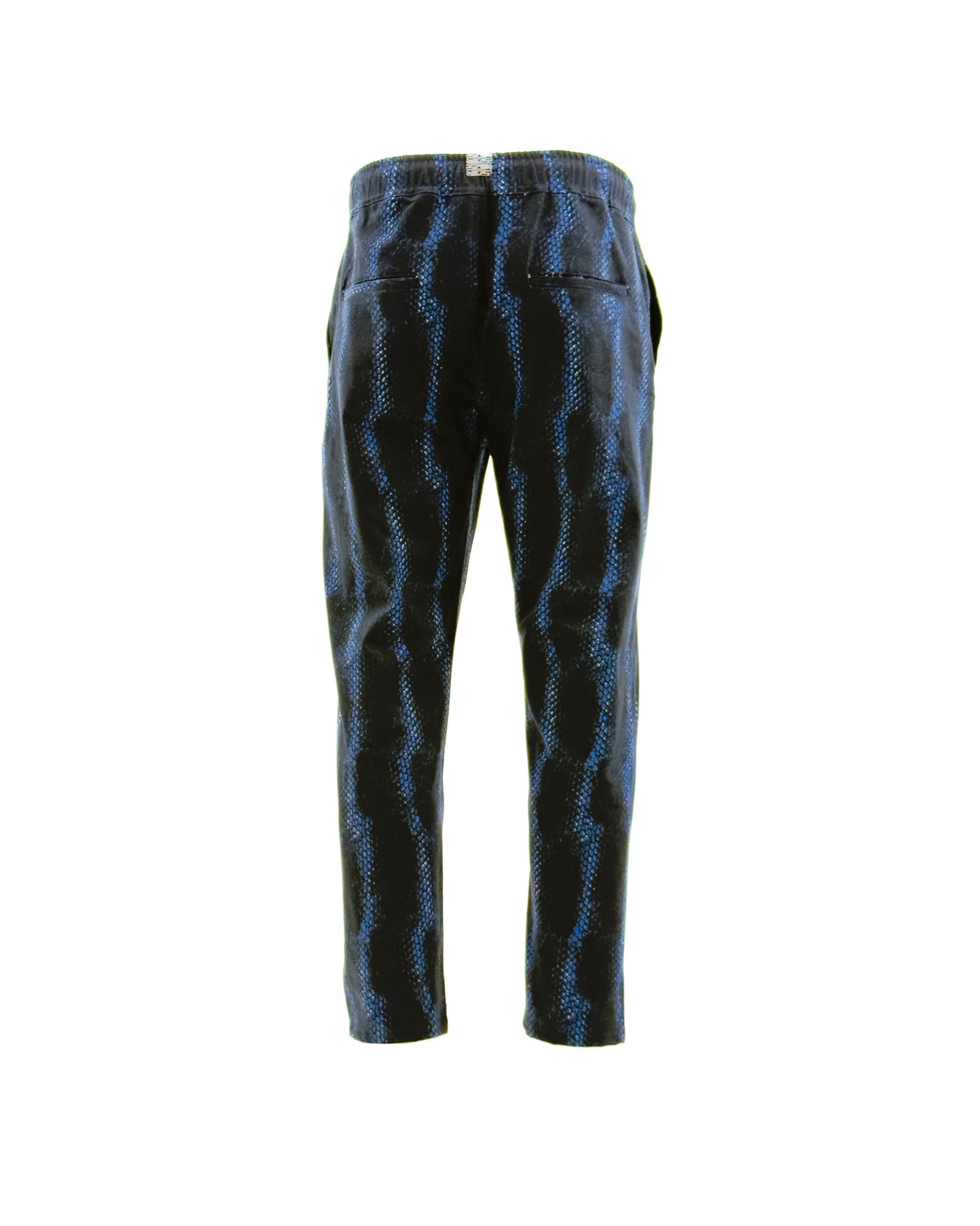 EDDY Blue Snake Print Straight Cut Pants