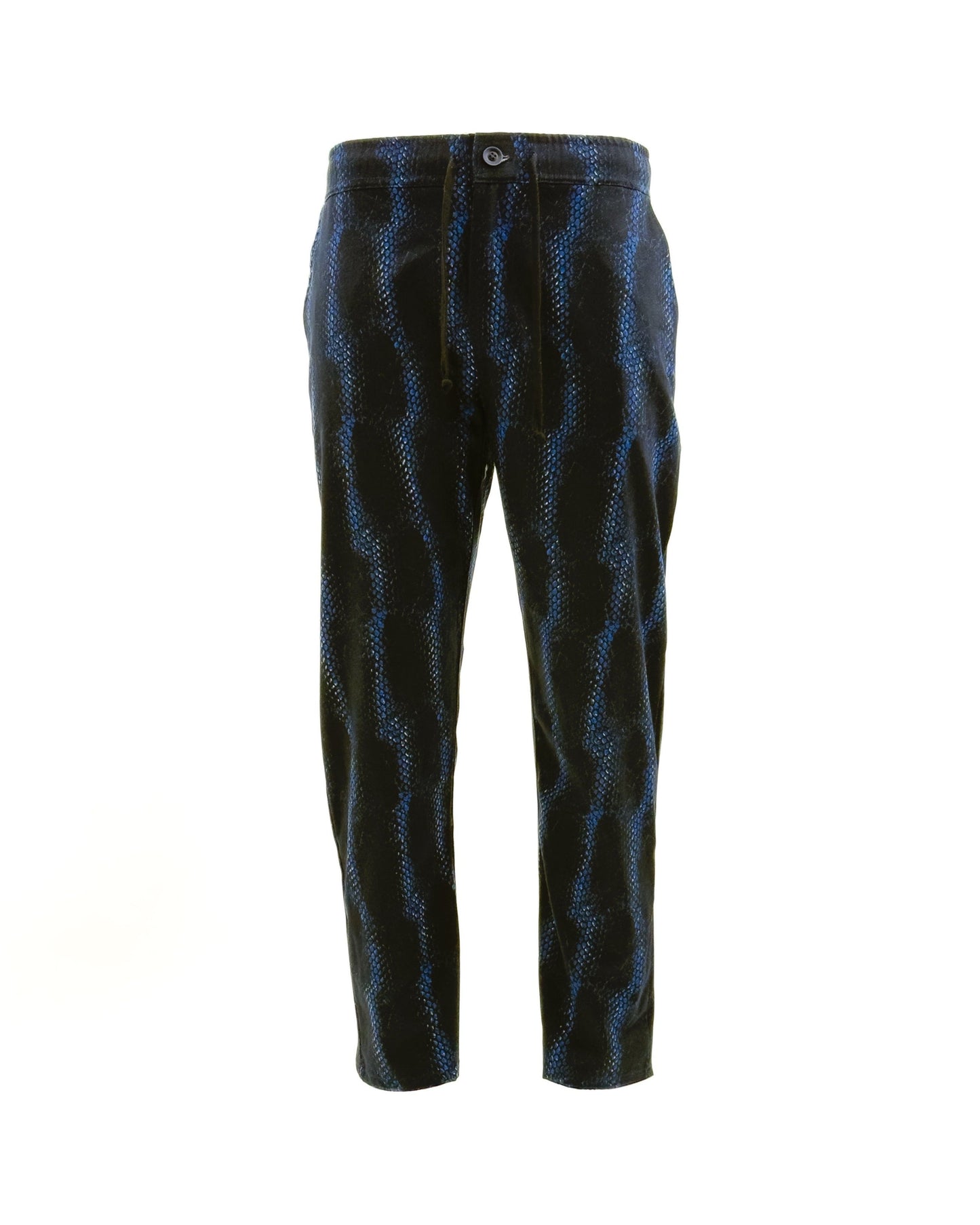 EDDY Blue Snake Print Straight Cut Pants