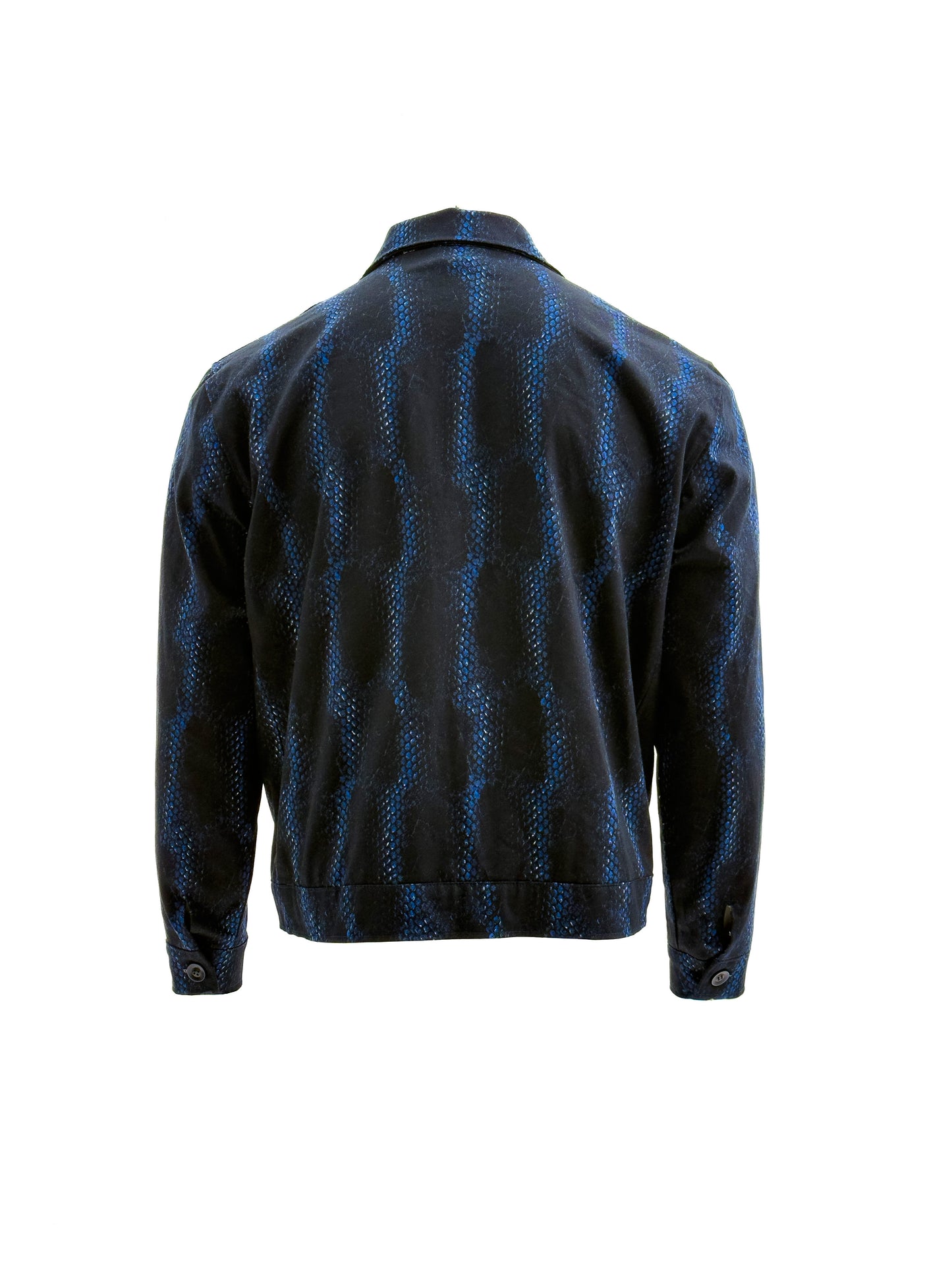 EDDY Blue Snake Stripe Coach Jacket
